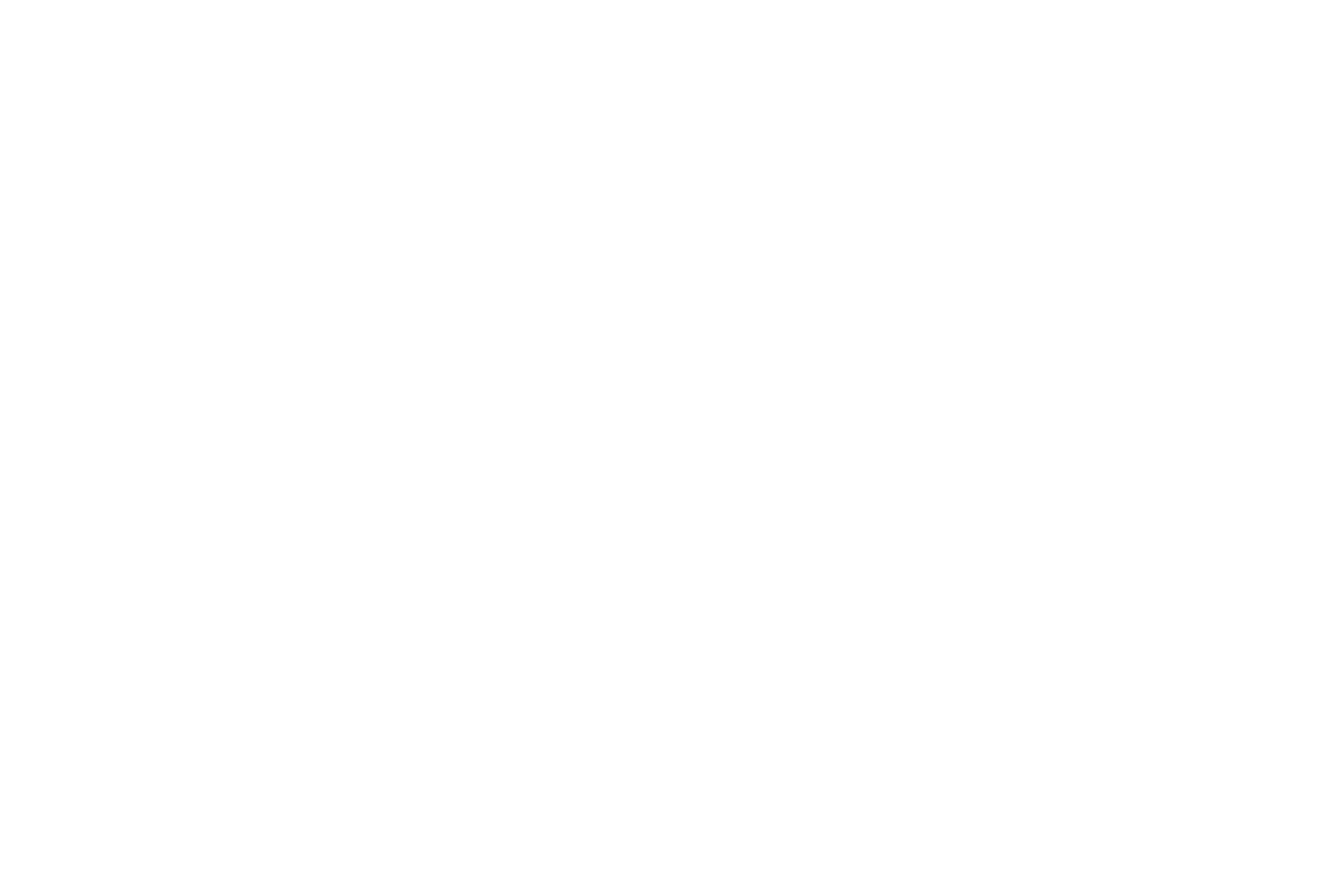 Shree Anant Capitals